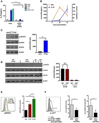NK Cell IL-10 Production Requires IL-15 and IL-10 Driven STAT3 Activation